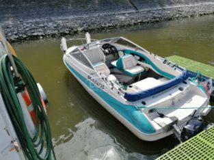 Motor boat RIO 450 TOP