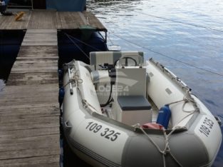 Outboard boat engine