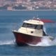 Fortis 590c