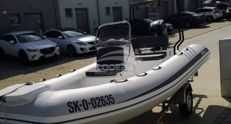 Grand motorboat for sale