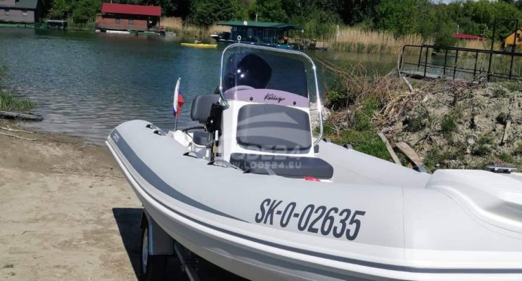 Grand motorboat for sale