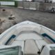 BOAT CHAPARRAL 1830 SPORT