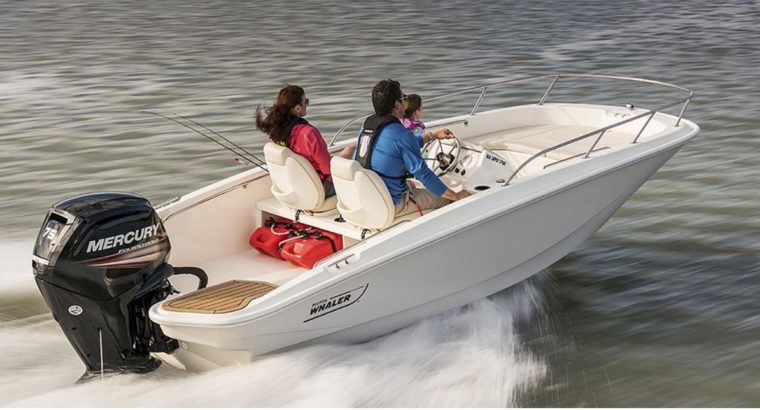 Features and adventures with the Boston Whaler 150 Sport