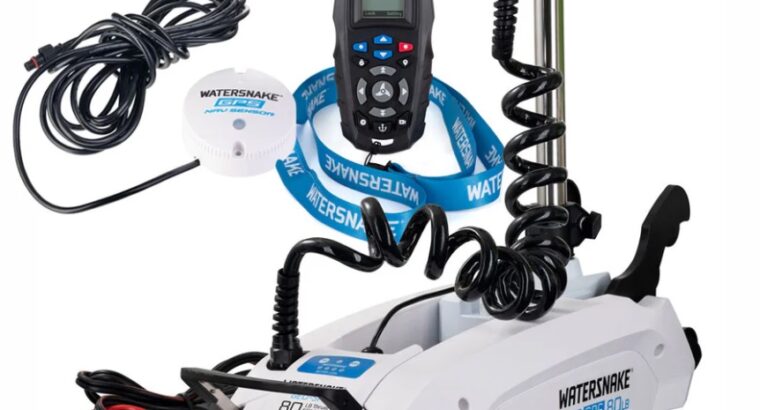 The Rise of Electric Motors in Maritime: Overview, Selection, and Maintenance – NEW AND USED BOATS FOR SALE