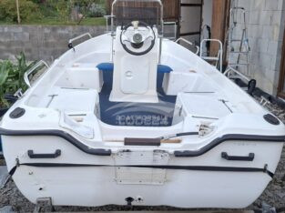 Fiberglass boat + trailer + motor
